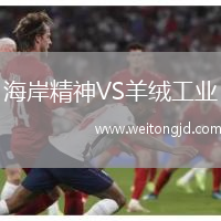 海岸精神VS羊絨工業(yè)