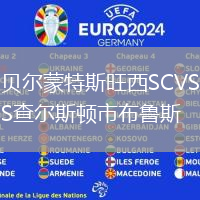 貝爾蒙特斯旺西SCVS查爾斯頓市布魯斯