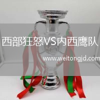 西部狂怒VS內(nèi)西鷹隊(duì)