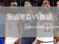 羅迪豪森VS雷登