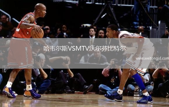 哈韋爾斯VSMTV沃爾芬比特爾