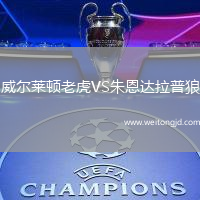 威爾萊頓老虎VS朱恩達拉普狼