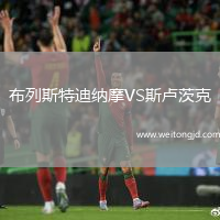 布列斯特迪納摩VS斯盧茨克