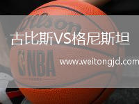 古比斯VS格尼斯坦
