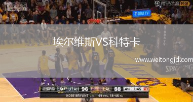 埃爾維斯VS科特卡