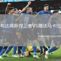 布達佩斯捍衛者VS海法馬卡比