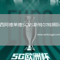 西阿德萊德SCVS斯特爾特獅隊