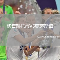 切普斯托市VS蒙茅斯鎮(zhèn)