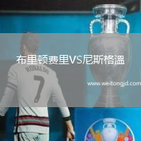 布里頓費里VS尼斯格溫
