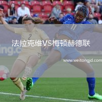 法拉克維VS梅頓赫德聯(lián)