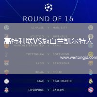 高特利聯VS施白蘭凱爾特人