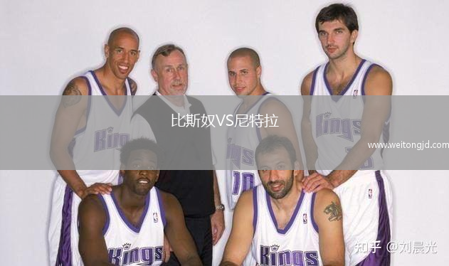 比斯奴VS尼特拉